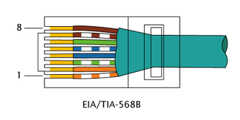 Описание: RJ-45 TIA-568B Left.png