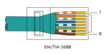 Описание: RJ-45 TIA-568B Right.png